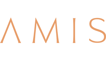 AMIS Properties logo