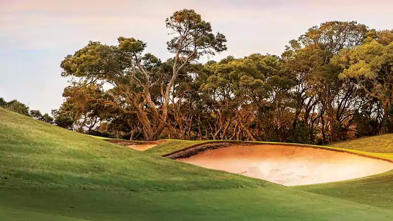 Fairway Vistas gallery image 6