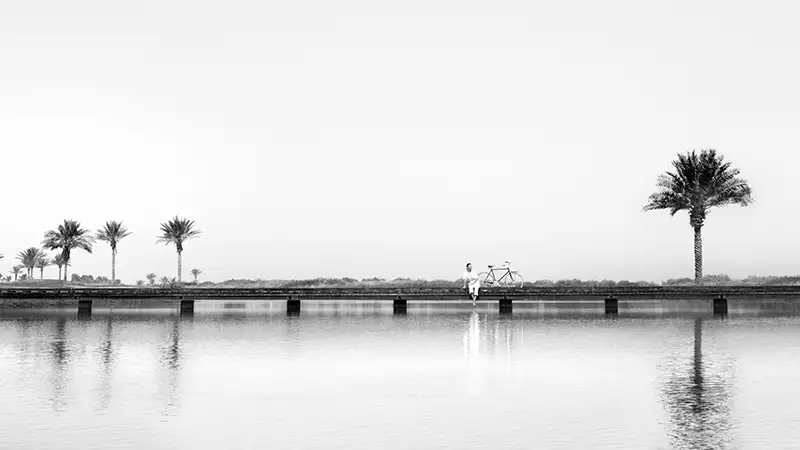 Saadiyat Reserve gallery image 9