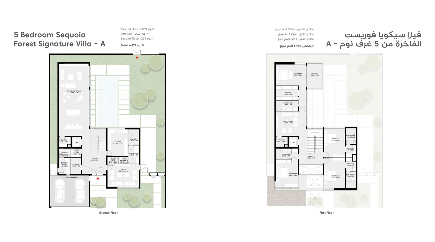 Masaar Sequoia floor plan 5