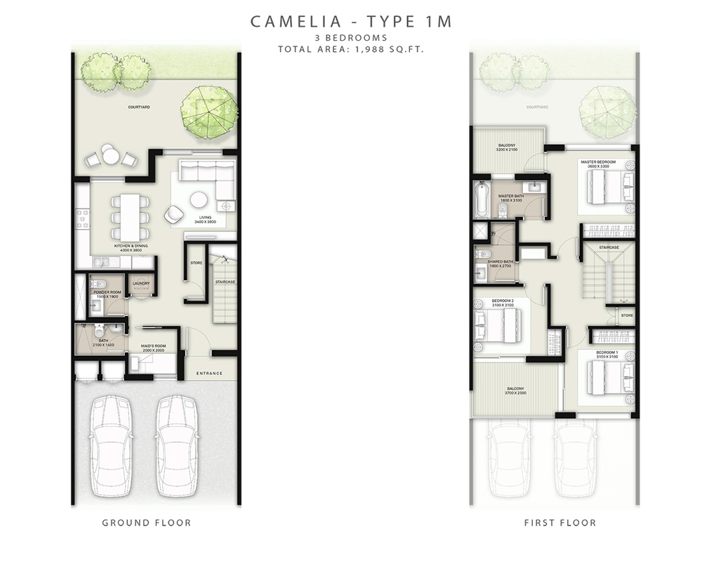 Camelia Townhouses floor plan 1