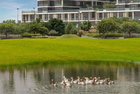 Loreto at Damac Hills — Damac Properties off plan in DAMAC Hills